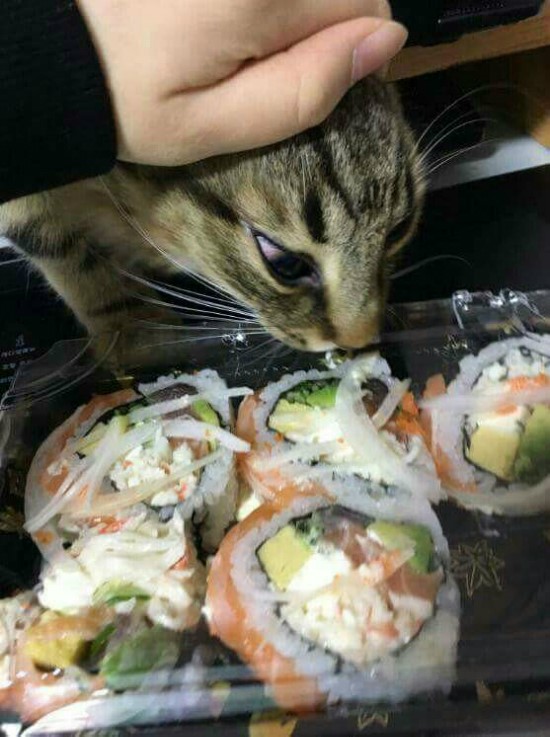  <유머> 공포의 한입충 ㅎ