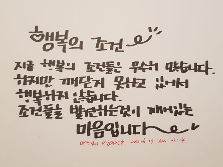  캘리그라피