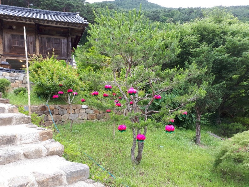 보제존자 나옹선사를 찾아 운서산 장육사 : 네이버 블로그
