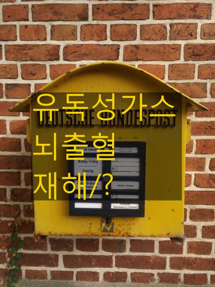  재해사망보험금 유독가스물질 노출에 의한 뇌출혈 재해 해당여부!