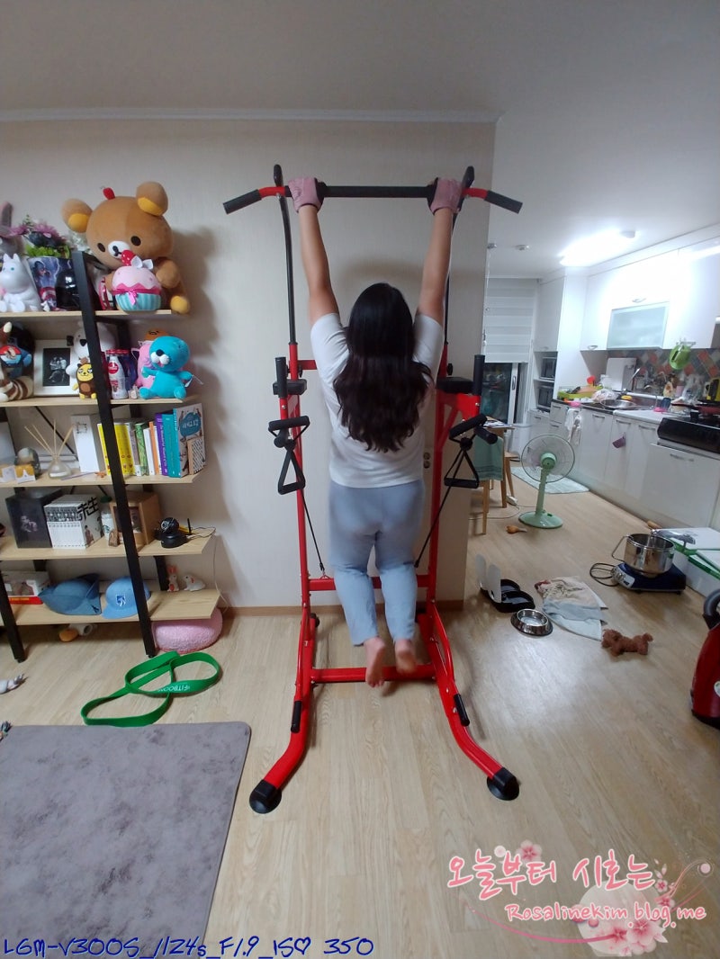 턱걸이 기구 핏분 치닝디핑으로 초보의 열심 홈트레이닝 : 네이버 블로그