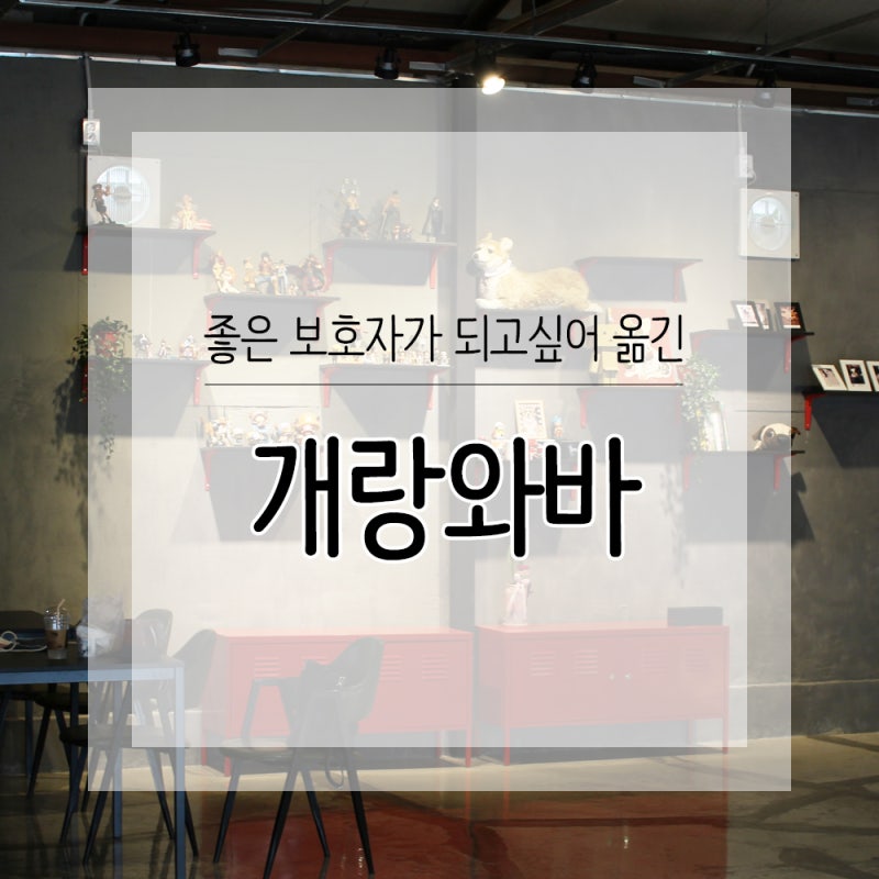 사진 3