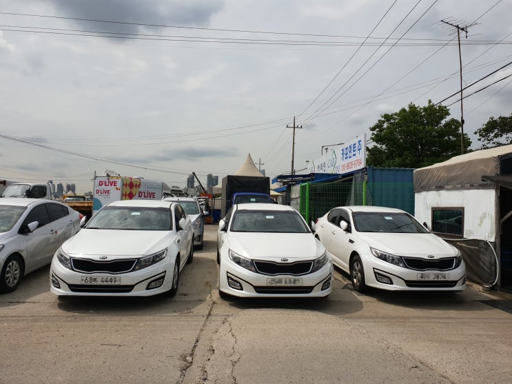  ( #K5LPG ) 모델  3대 입고