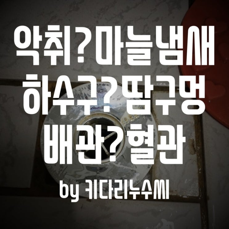  하수구냄새차단트랩 필요한 이유 창원김해마산