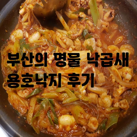 강남역 낙곱새 수요미식회 방송 '용호낙지' 후기