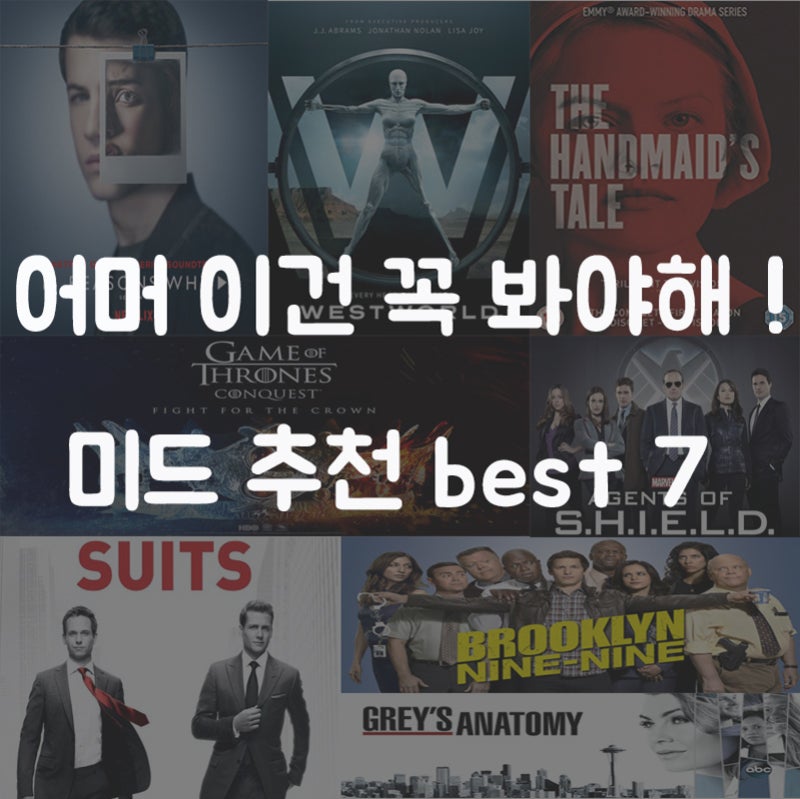 2018 미드 순위 Top7 네이버 블로그
