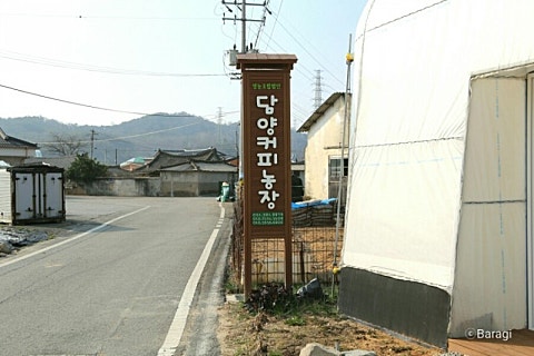 담양커피 이미지