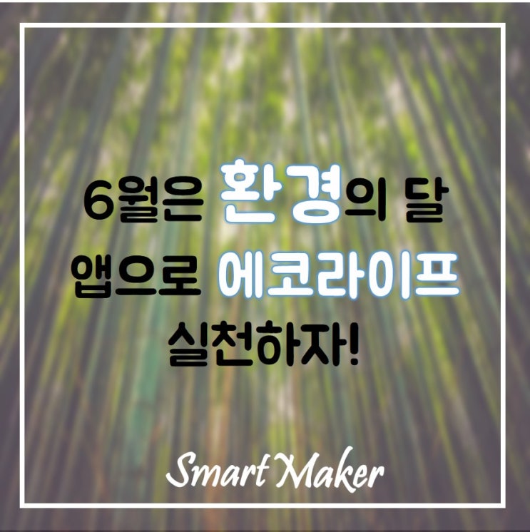  6월은 환경의 달 앱으로 에코라이프 실천하자!