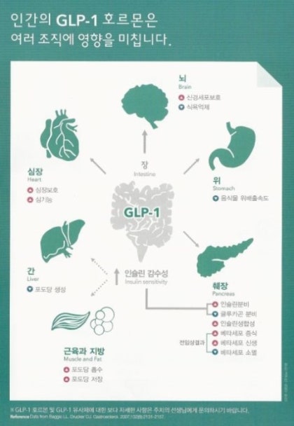 do glp 1 increase fertility Is OZEMPIC the answer to our fertility struggles? Not so fast — read along  to learn more on why there has been a baby boom with the rise of glp-1  medications it's
