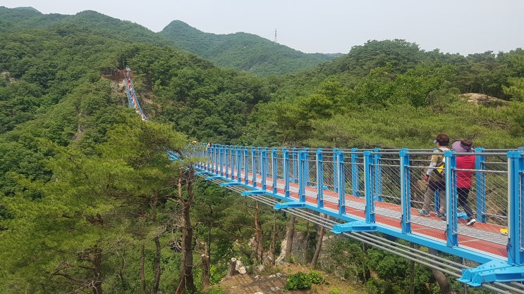 원주 간현 소금산 출렁다리 방문기!