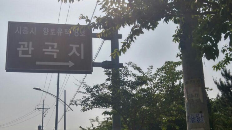 연꽃이 아름다운 관곡지