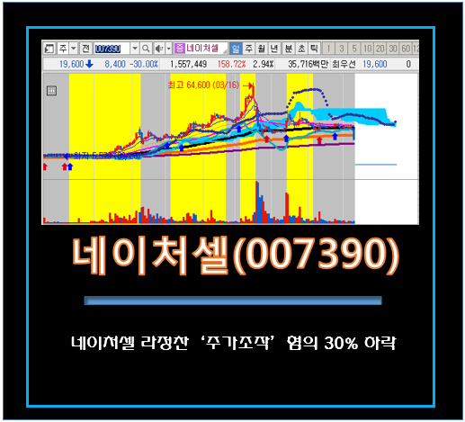 [기업분석][차트분석] 네이처셀 - 라정찬 '조가조작' 혐의 30% 하락 '하한가'