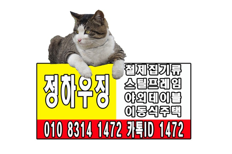 사진 4