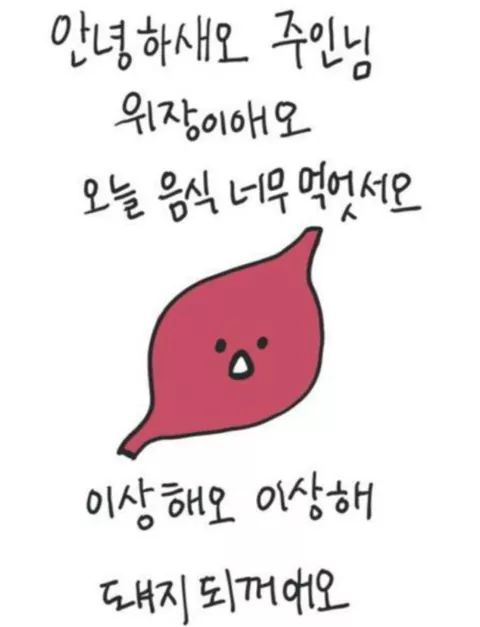  [다이어트 일기] 반성과 시작의 일기