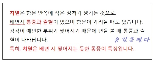 피똥싸는이유 5가지 치질이 아닐수도 있어요 6