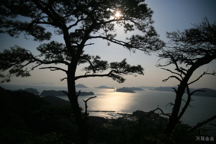  명사마을에서 망산 등산 주차장 - 거제송송
