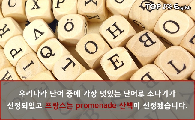 멋있는 영어단어, 상위 20위는? : 네이버 블로그 멋있는 영어단어, 상위 20위는? : 네이버 블로그