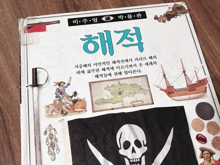 초등3학년 독서일지:) 해적에 관한 책