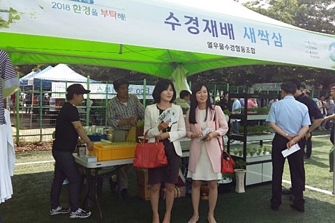 열우물새싹인삼 이미지