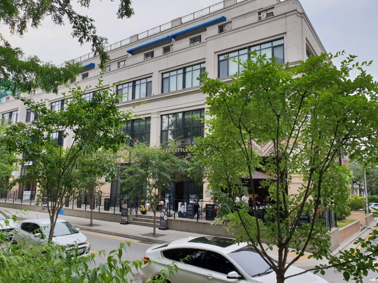  캐틀앤비 양재점과 양재천 산책
