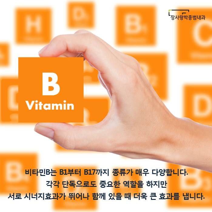 임산부 영양제의 전성분을 조사하다 4