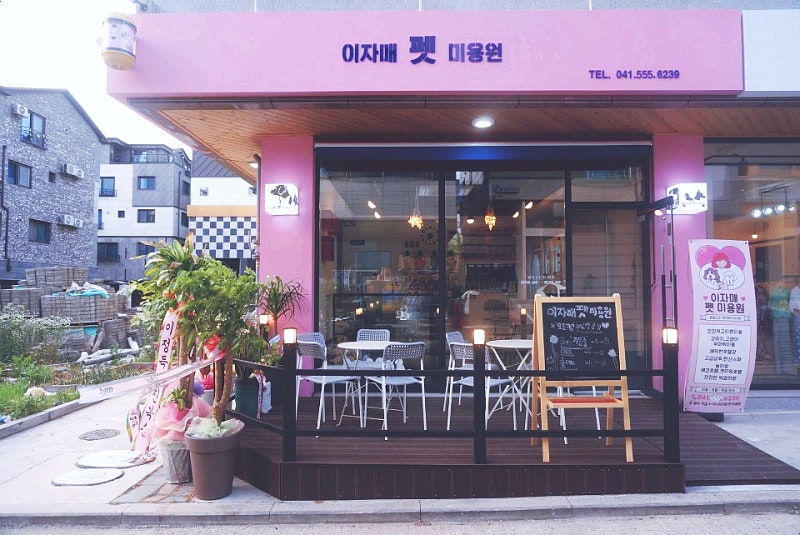 사진 4