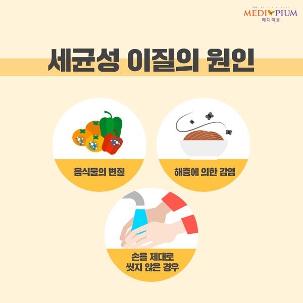 세균성 이질 원인 증상 감염 치료 예방 방법