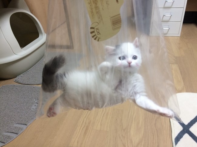  [쿠니루니 성장일기 - 5월] 심쿵 사진 모음! 심멎주의