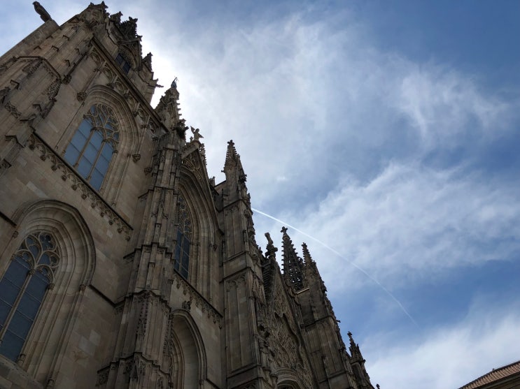 스페인허니문) 3일차 - 바르셀로나 시내구경, 대성당(Cathedral of Barcelona) 무료입장, 입장료