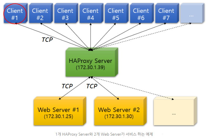 [HAProxy] TCP 연결 실습 : 네이버 블로그