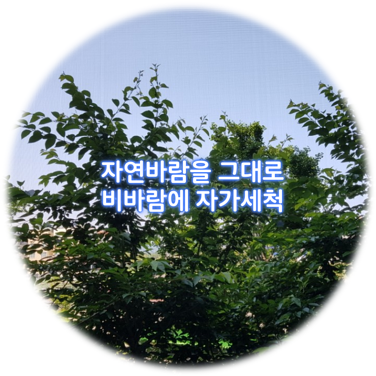  제주방충망교체 미세벌레 한방에 해결, 제주 아라 스위첸