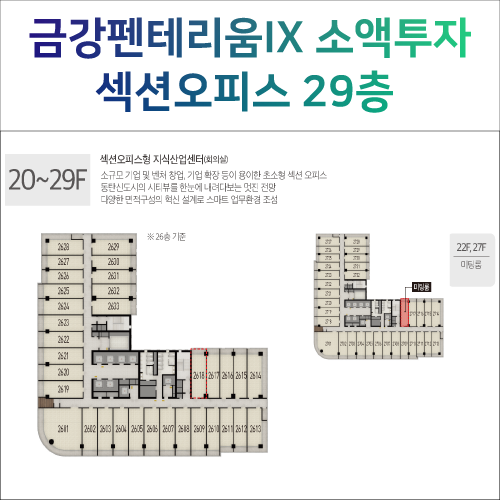 동탄금강펜테리움IX타워 29층 섹션오피스 추천분양(소액투자부터)