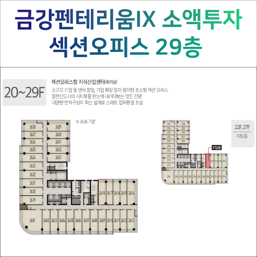  동탄금강펜테리움IX타워 29층 섹션오피스 추천분양(소액투자부터)