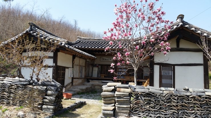  한단지몽(邯鄲之夢)과 운명론(運命論)