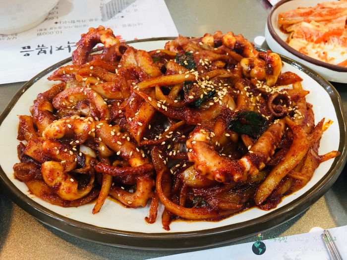  대전 둔산동 맛집 시골길, 이렇게 통통한 낙지는 처음이다.
