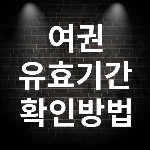 여권 유효기간 확인