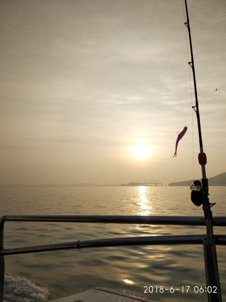 20180617 영종도 바다로호 광어다운샷