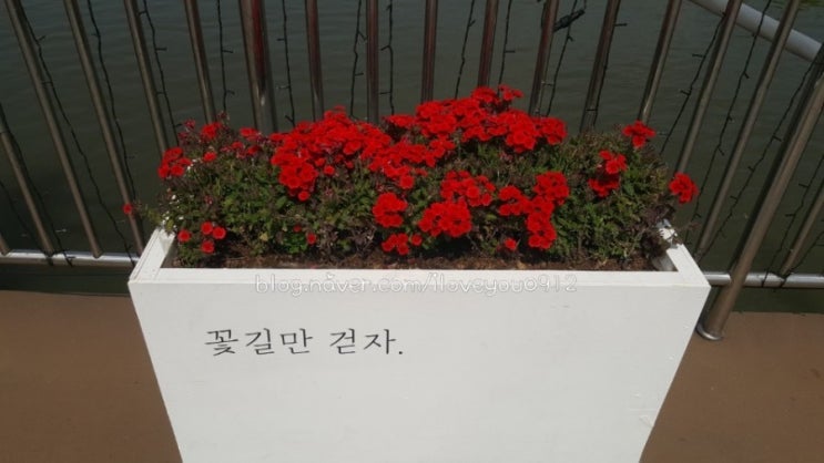 서울의 이곳저곳 둥둥섬 ~ 세빛섬