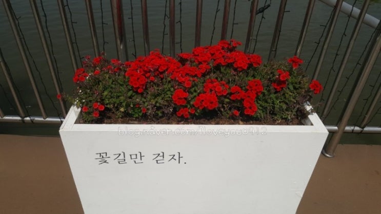 서울의 이곳저곳 둥둥섬 ~ 세빛섬 서울의 이곳저곳 둥둥섬 ~ 세빛섬