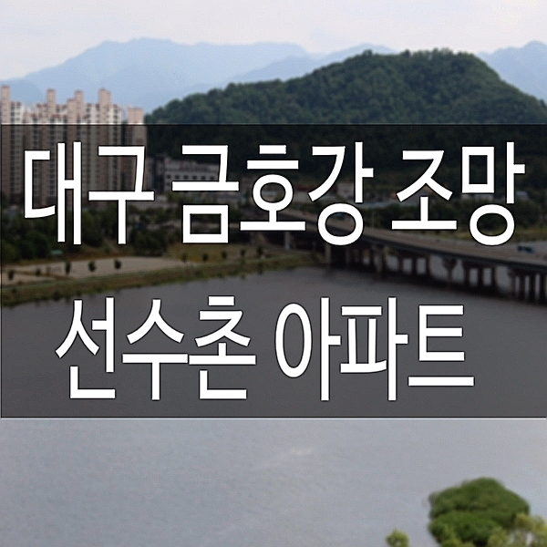 동변동아파트 유니버시아드 선수촌2단지 매매