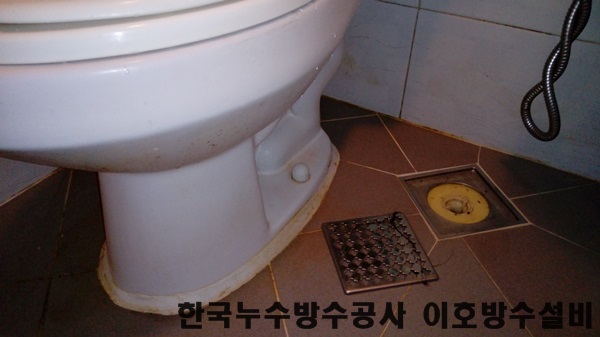  수지구 동천동 누수! 동천동아파트화장실누수문제?! 해결하고온 후기!