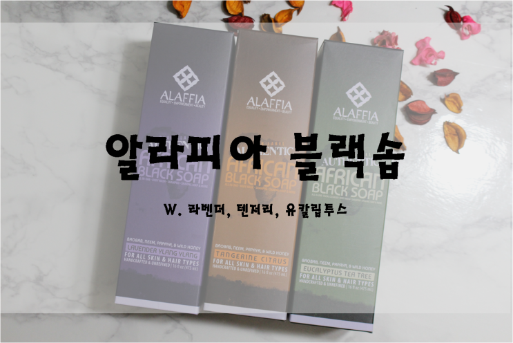  롯데홈쇼핑 알라피아 블랙솝 올인원클렌저 샥~