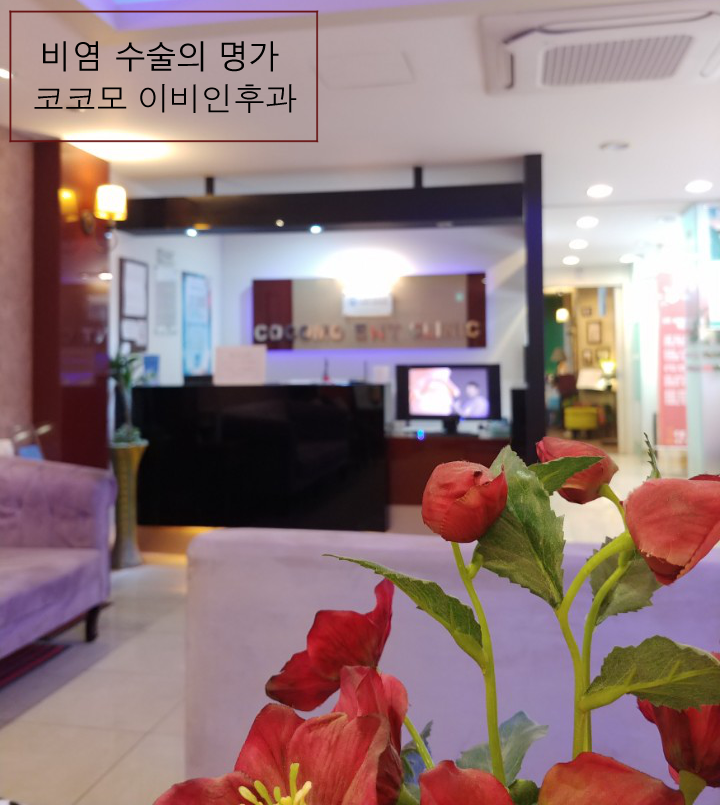  비염수술 병원 찾으며 떠오르는 고민들