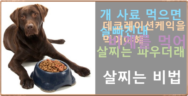 부천 굵은 글씨는 한약, 굵은 글씨는 보약으로 살찌는 방법. 10