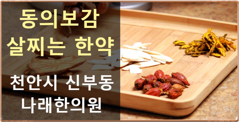 시흥에 살찌는 한약 답답했겠다