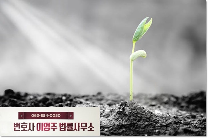 군산변호사사무소의 도움을 청할 때 3