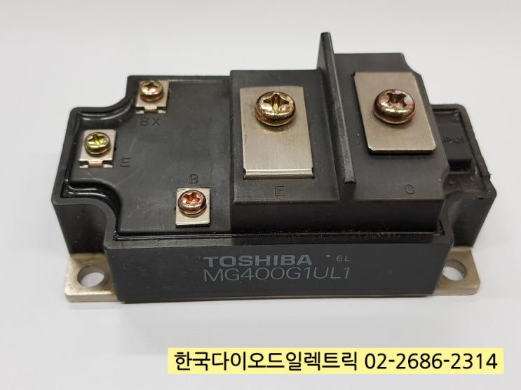  [판매중] 6월19일 새로 입고된 재고 목록