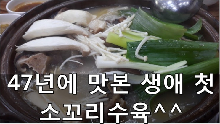  호주산 소꼬리 알꼬리 납품중인 거래처에서 맛본 "소꼬리수육"