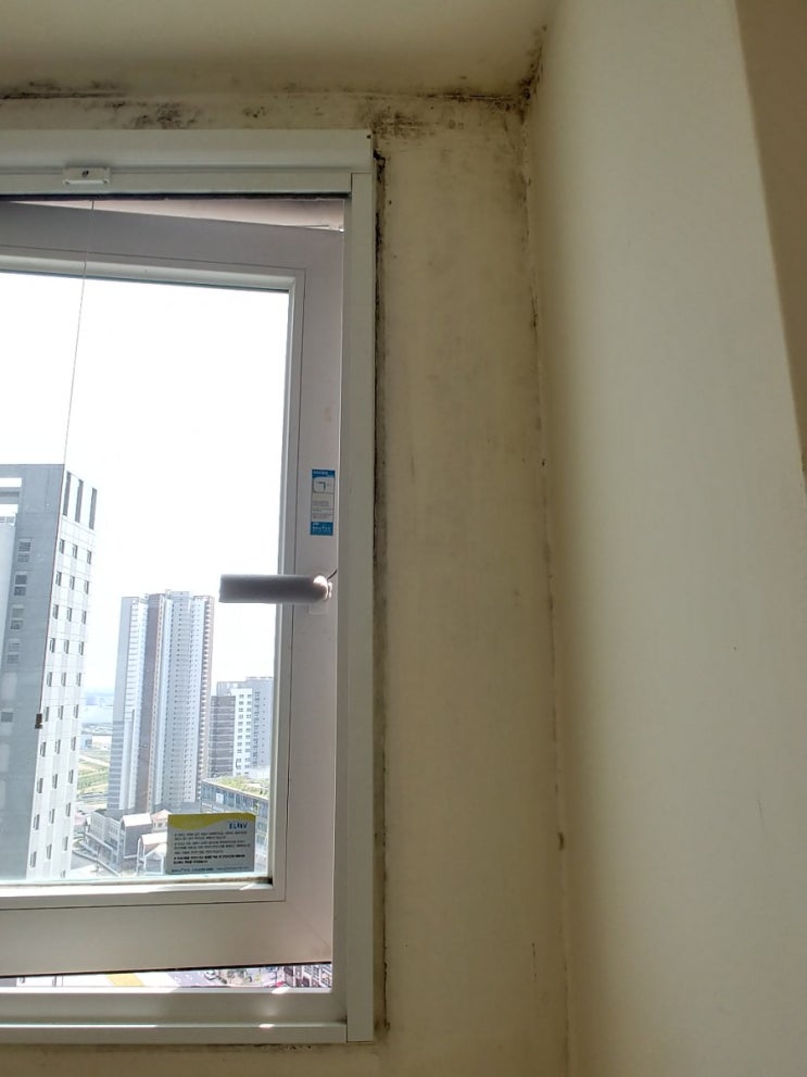 ( 동탄 탄성코트 ) 동탄 2신도시 포스코 더샵 구축아파트 탄성코트 시공후기
