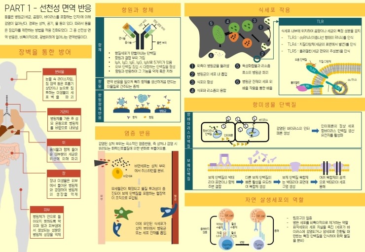  chap 47. 동물은 감염에 대항하여 방어한다.